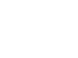 Nightlight Insurance Company